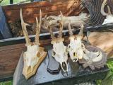 img_20200903_100048.jpg