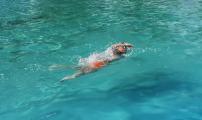img_20200713_104447.jpg