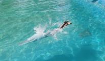 img_20200713_105635.jpg